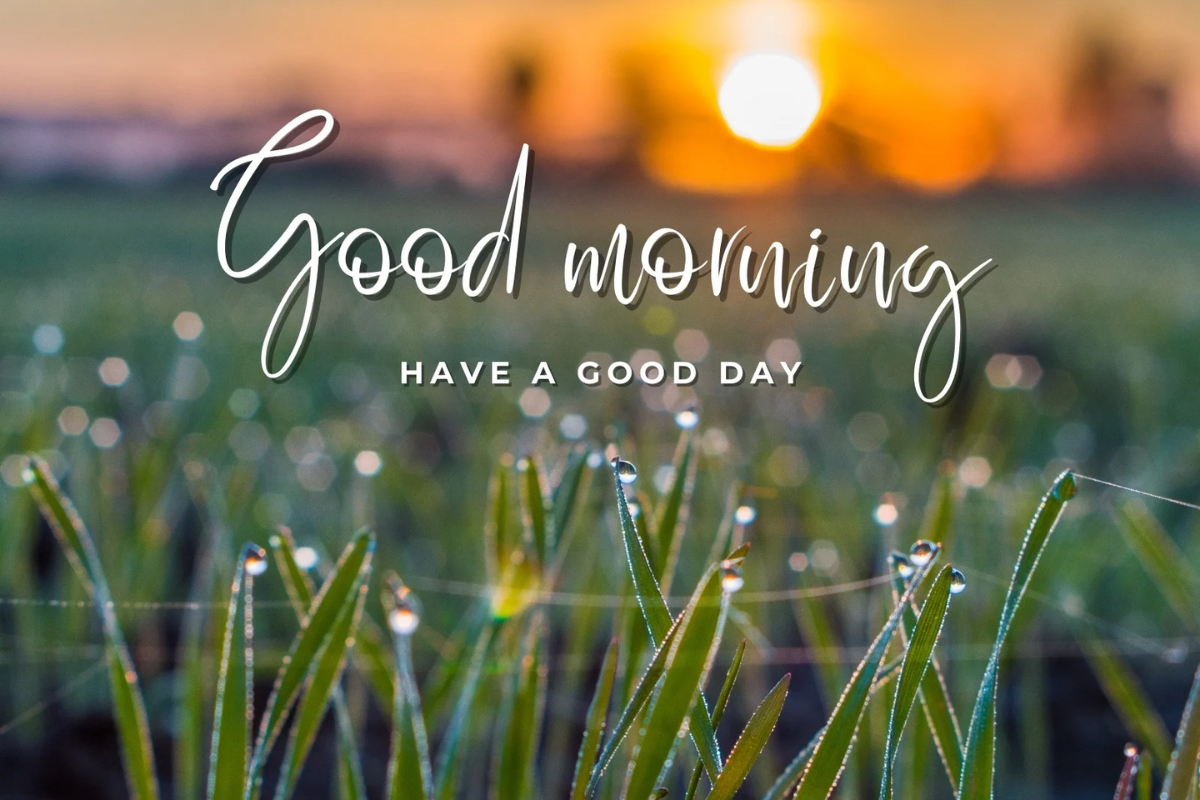 Good Morning Paragraphs for Her to Melt Her Heart