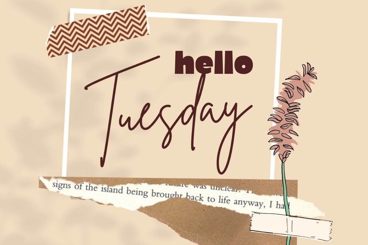 250+ Tuesday Blessings for a Wonderful Day – Cute Images