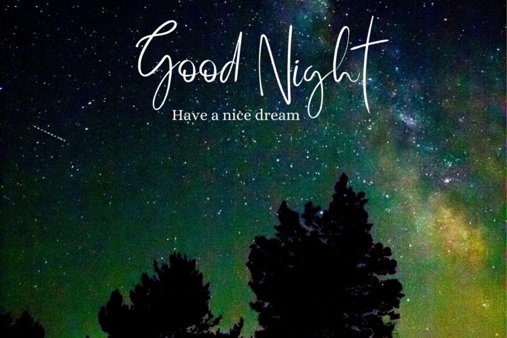 Good Night Quotes on Life