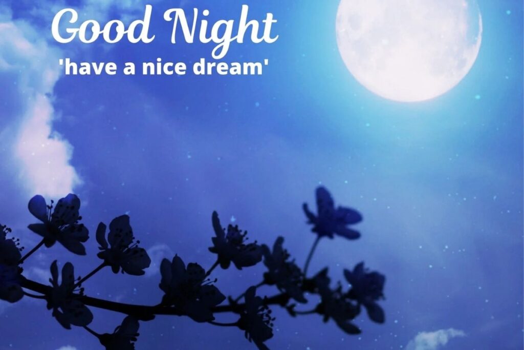 Good Night Quotes on Life