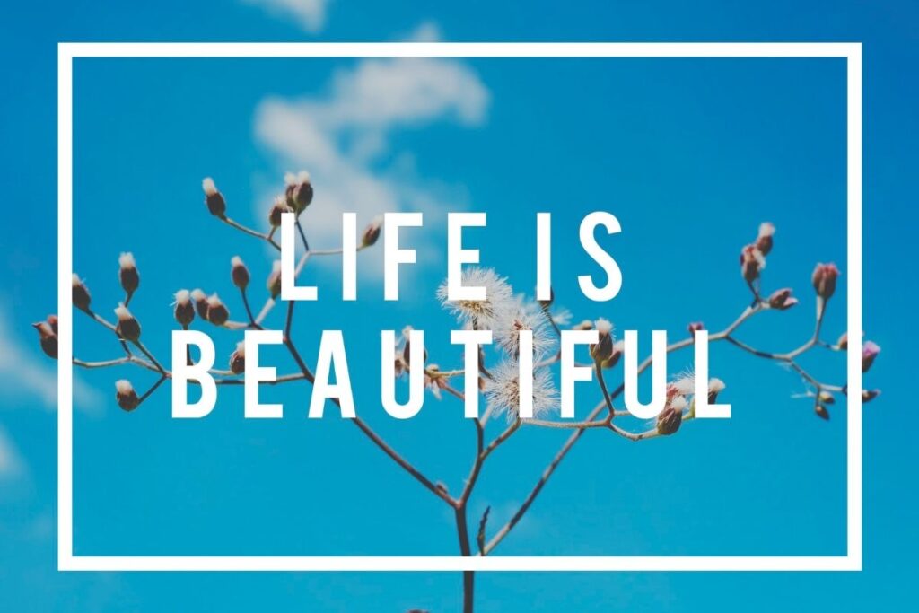 Quotes That Show What Really Matters in LifeQuotes That Show What Really Matters in Life