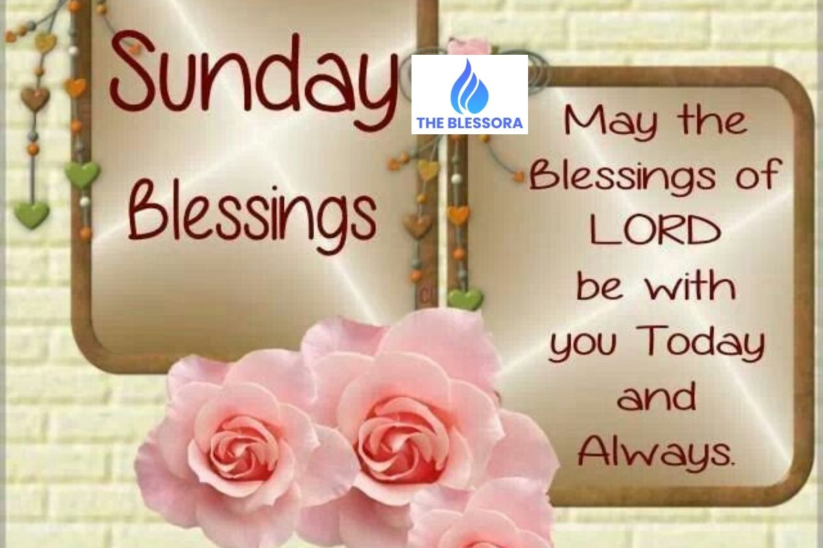 250+ Happy Sunday Blessings and Wishes for a Peaceful Day-Beautiful Messages and Quotes for Loved Ones