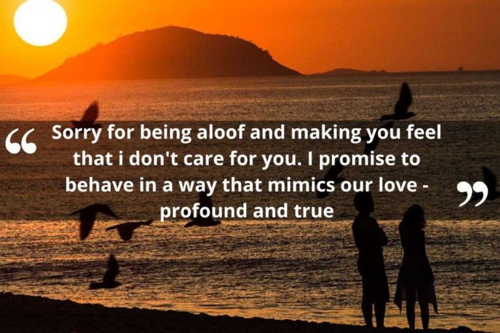 Apology Messages for Long-Distance Relationships