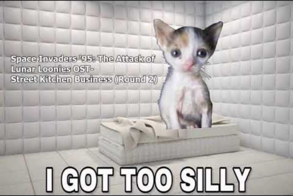 Funny Random Things to Say Silly Talks
