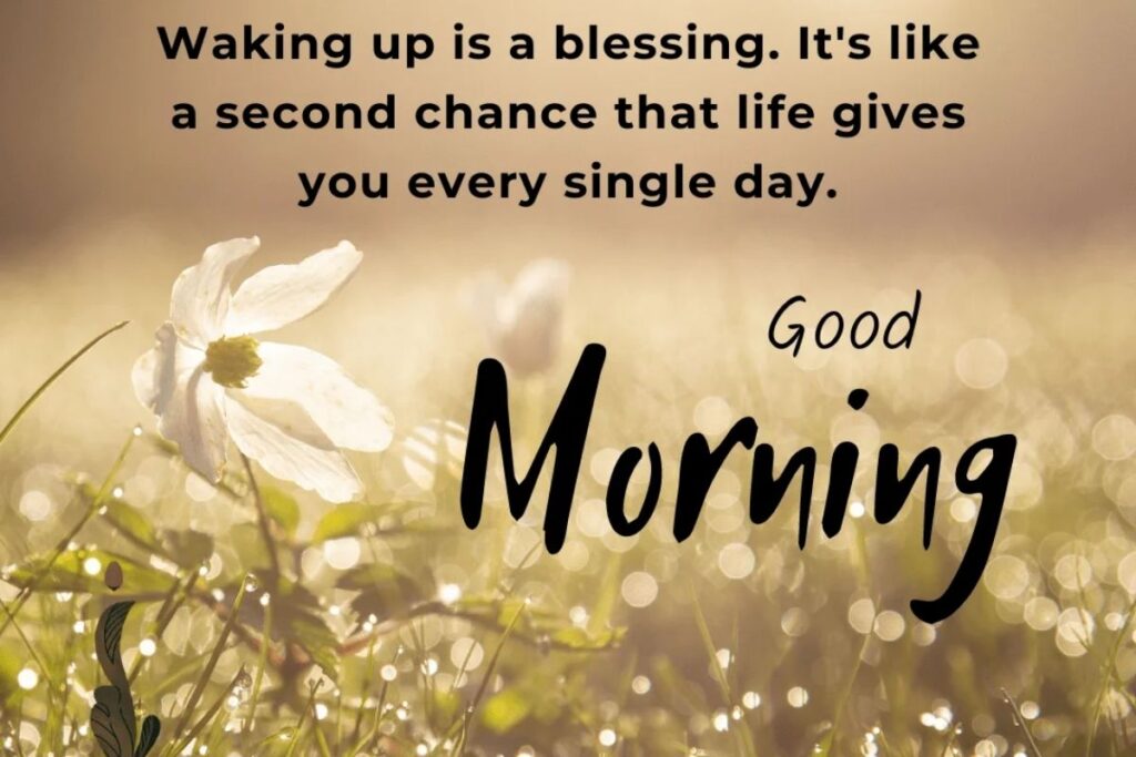 Positive African American Good Morning Quotes