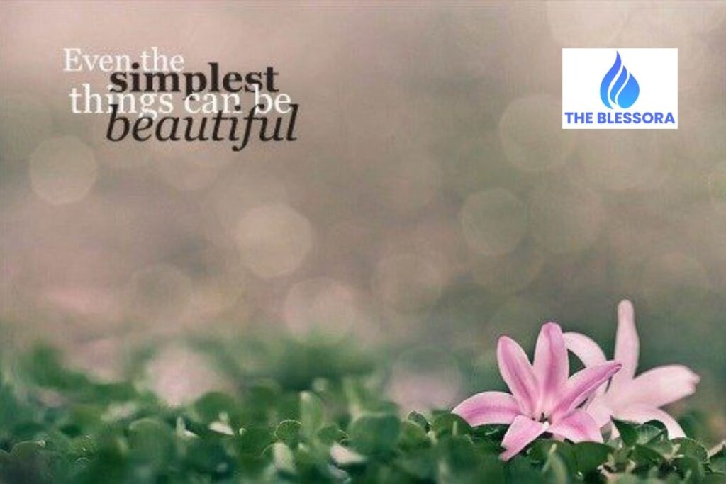 Short & Simple Beauty Quotes to Use Anytime