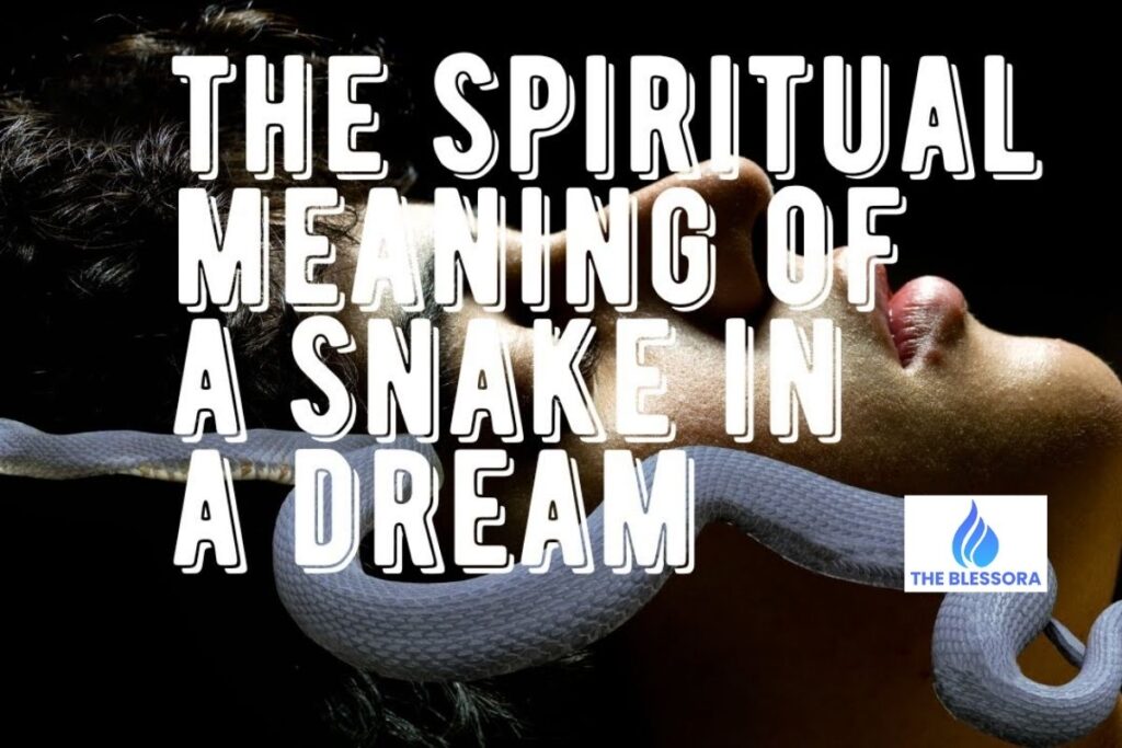 Variations of Snake Dreams and Their