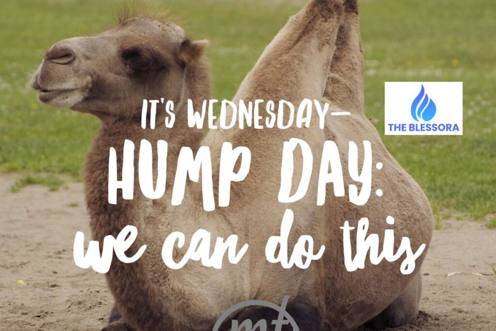 inspirational-hump-day-quotes