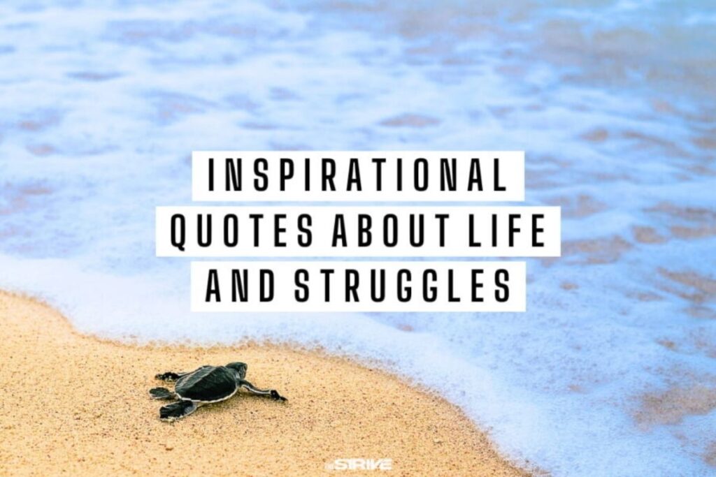 Inspirational Quotes About Life and Struggles