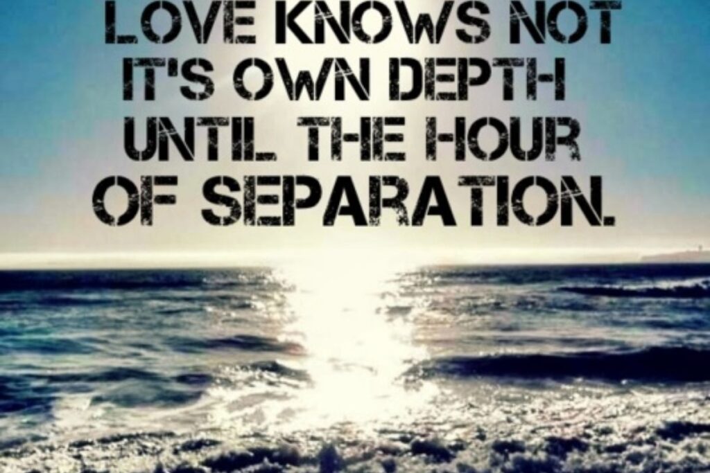 Separation Quotes